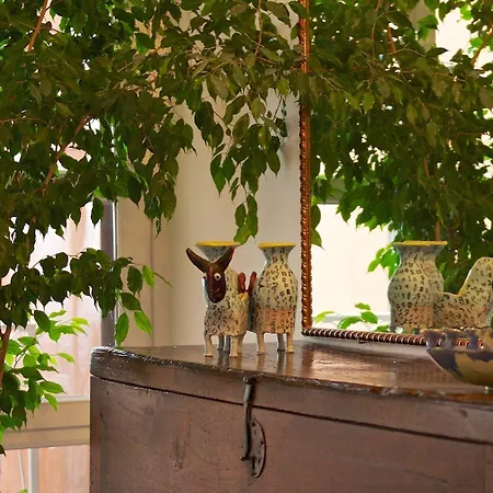 Romantic & Restaurant Cheta Elite 4*