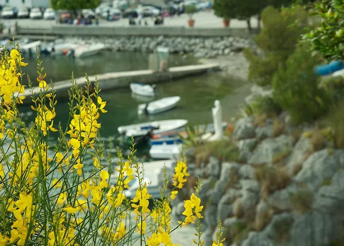 Romantic & Restaurant Cheta Elite