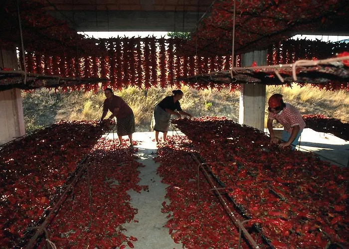 Romantic & Restaurant Cheta Elite Maratea