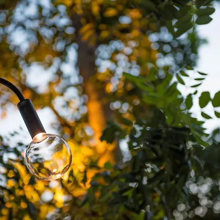 Romantic & Restaurant Cheta Elite Hotel