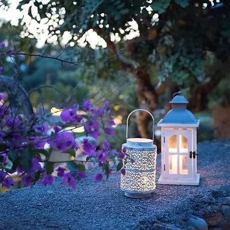 Romantic & Restaurant Cheta Elite Otel