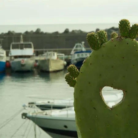 Romantic & Restaurant Cheta Elite 4*