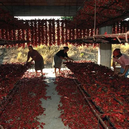 Romantic & Restaurant Cheta Elite 마라테아