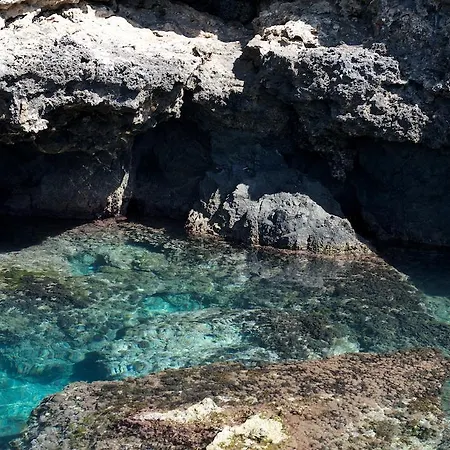 호텔 Romantic & Restaurant Cheta Elite 4*